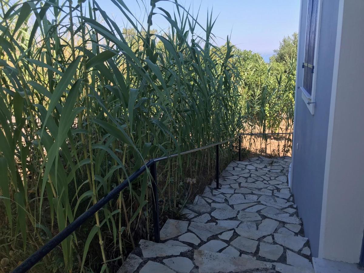 פיסקרדו Artemis Villa מראה חיצוני תמונה